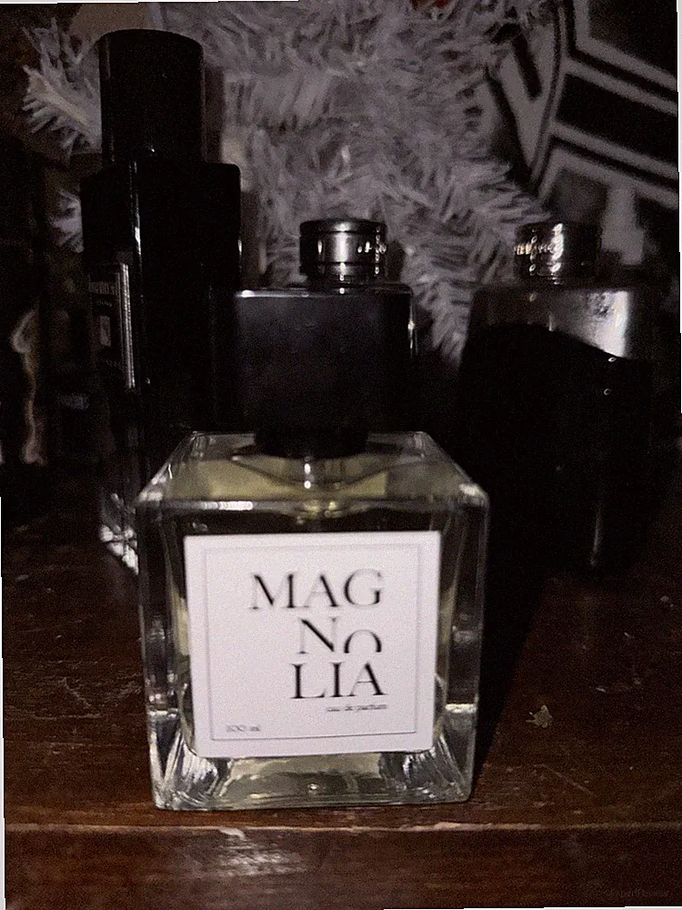 Luxury Men’s Cologne Fresh Citrus Aromatic Long Lasting Fragrance